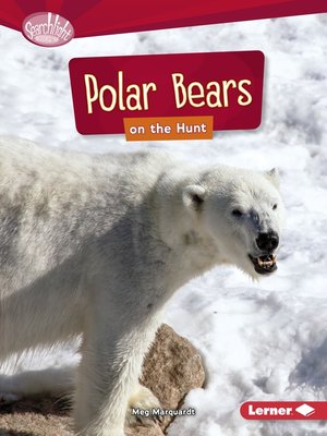 Polar Bears on the Hunt - ebook